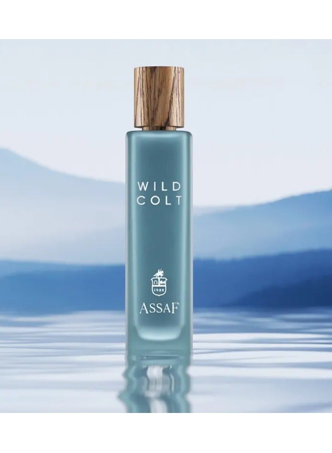 Assaf Wild Colt Eau de Parfum (EDP) 200ml – Unisex